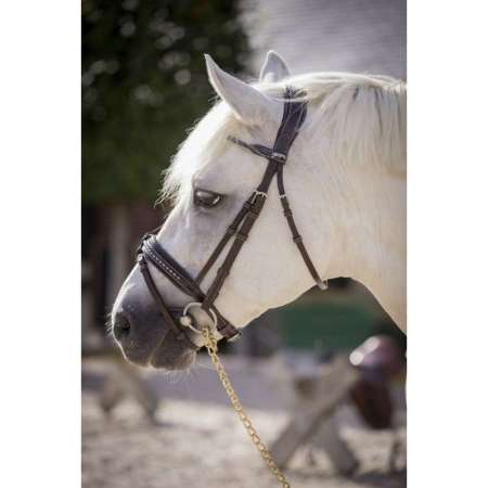 "Eden" Bridle Pénélope (Pony Size)