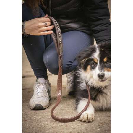 Pénélope Rubber Dog Leash