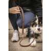 Pénélope Rubber Dog Leash