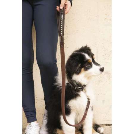 Pénélope Rubber Dog Leash