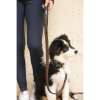 Pénélope Rubber Dog Leash