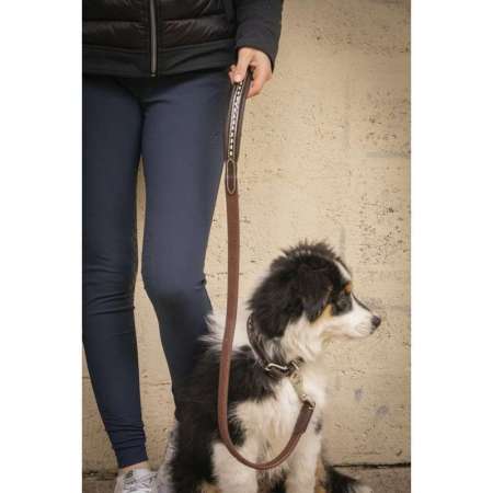 Pénélope Rubber Dog Leash
