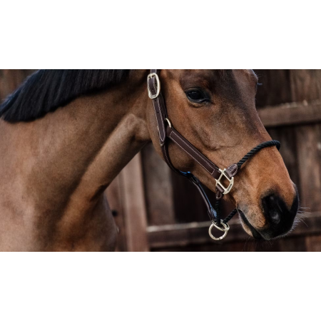 Leather Rope Halter