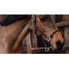 Leder halster Rope
