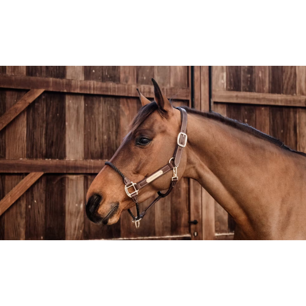 Leather Rope Halter