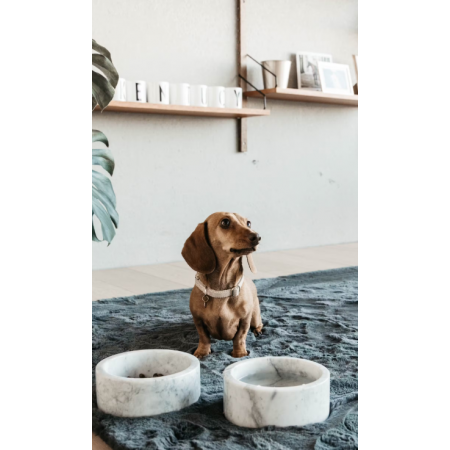 Dog Collar Wool