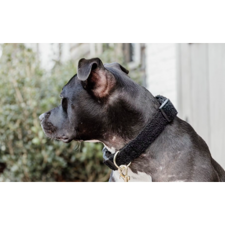 Dog Collar Teddy Fleece