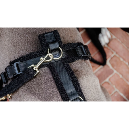 Dog Leash Teddy Fleece 120 cm