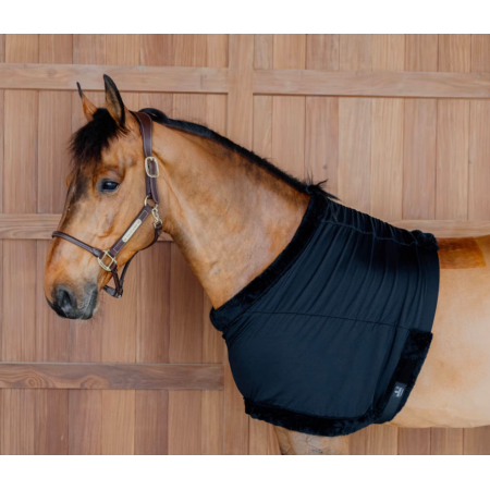 Kentucky Chest Protection