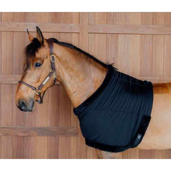 Kentucky Chest Protection