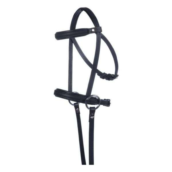 Bridle Hobby Horsing