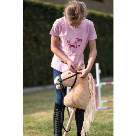 Bridon -Hobby Horsing