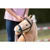 Bridon -Hobby Horsing