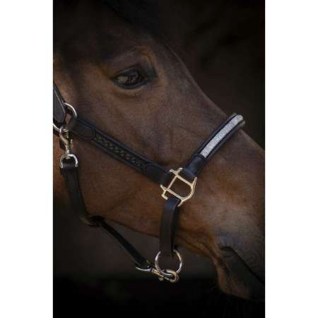PENELOPE - Harmonie - halster