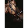 PENELOPE - Harmonie - halster