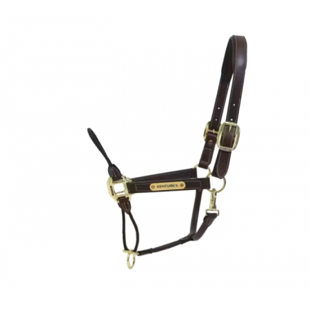 Leder halster Rope