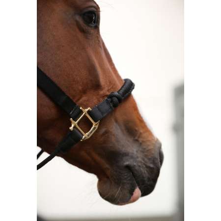 Control Headcollar