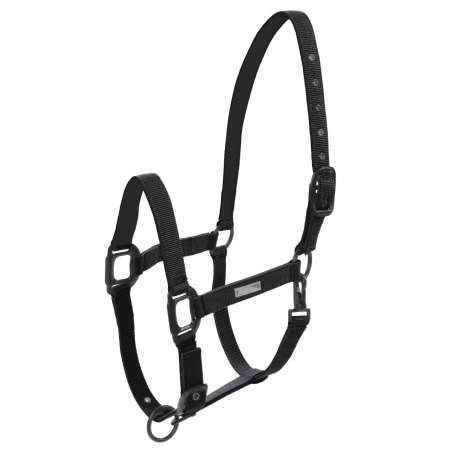 Lami-Cell Midnight Headcollar