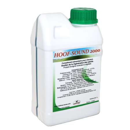 Hoof Sound 2000