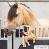 Jouet Cheval IRHPegasus Buddy Stable