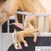 IRHPegasus Buddy Stable Horse Toy
