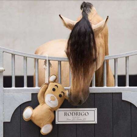 IRHTeddy Buddy Stable Horse Toy