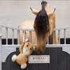 IRHTeddy Buddy Stable Paarden Speelgoed