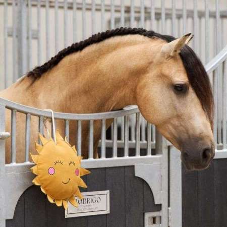 Jouet Cheval IRHSunny Buddy Stable