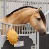 Jouet Cheval IRHSunny Buddy Stable