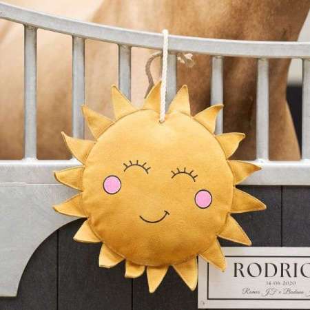copy of IRHTeddy Buddy Stable Horse Toy