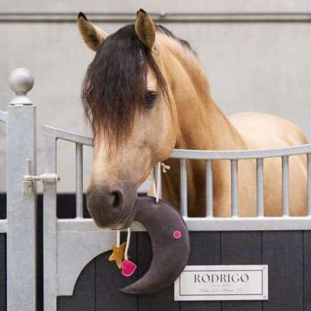 Jouet Cheval IRHMoony Buddy Stable
