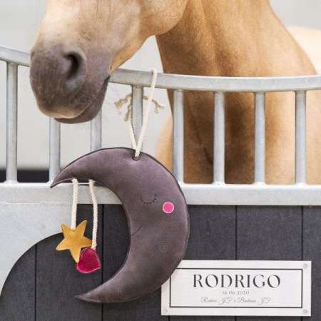 IRHMoony Buddy Stable Horse Toy