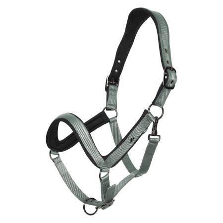 HVPEssential Haslter