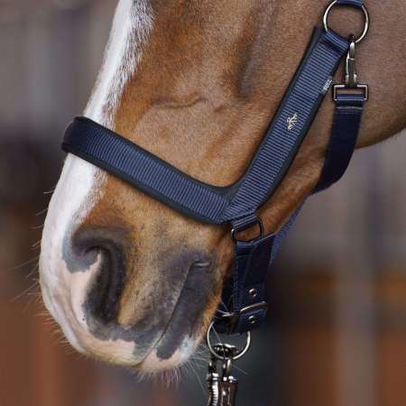 HVPEssential Headcollar
