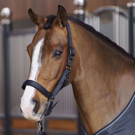 HVPEssential Headcollar