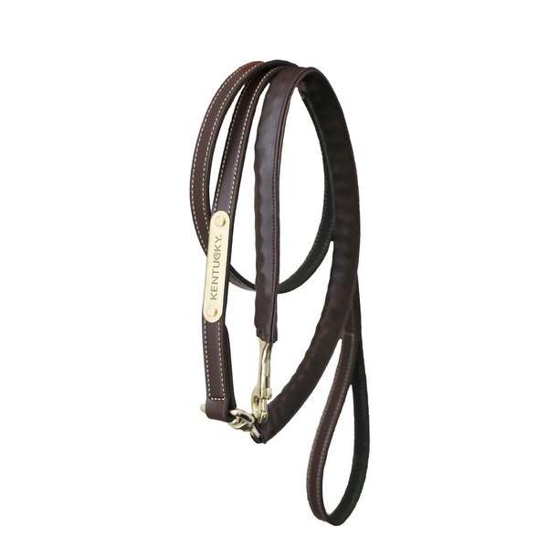 Leather Covered Chain Lead