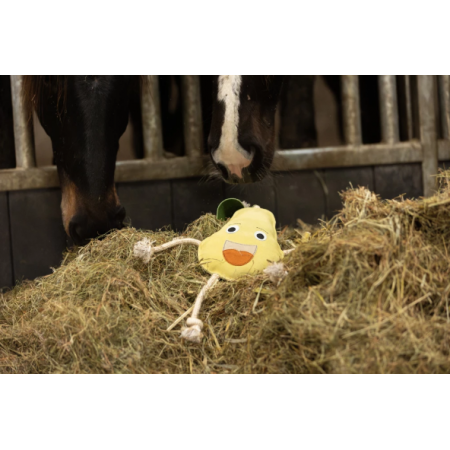 Excellent Horse Foodie Friends Pear