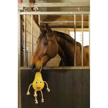 Excellent Horse Foodie Friends Pear