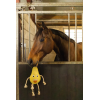 Excellent Horse Foodie Friends Pear