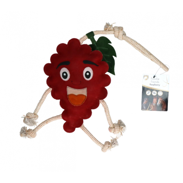 Excellent Horse Foodie Friends Raspberry