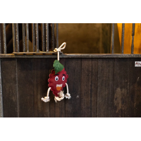 Excellent Horse Foodie Friends Raspberry