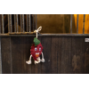 Excellent Horse Foodie Friends Raspberry