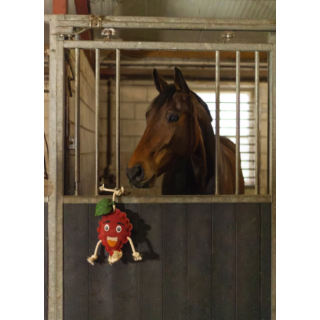 Excellent Horse Foodie Friends Raspberry