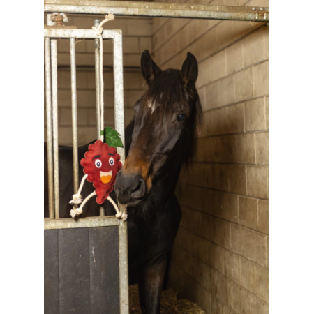 Excellent Horse Foodie Friends Raspberry
