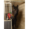 Excellent Horse Foodie Friends Raspberry