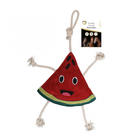 Excellent Horse Foodie Friends Watermelon