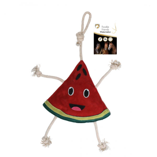 Excellent Horse Foodie Friends Watermelon