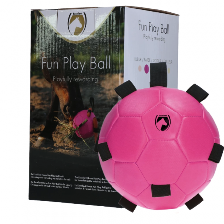 Excellent Horse Fun Play Ball