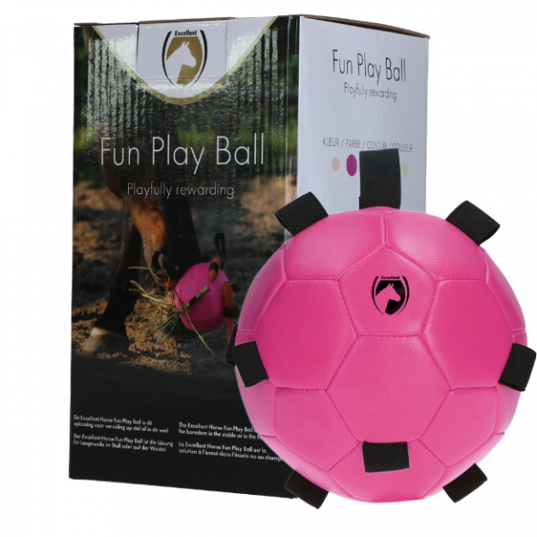 Excellent Horse Fun Play Ball