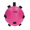 Excellent Horse Fun Play Ball